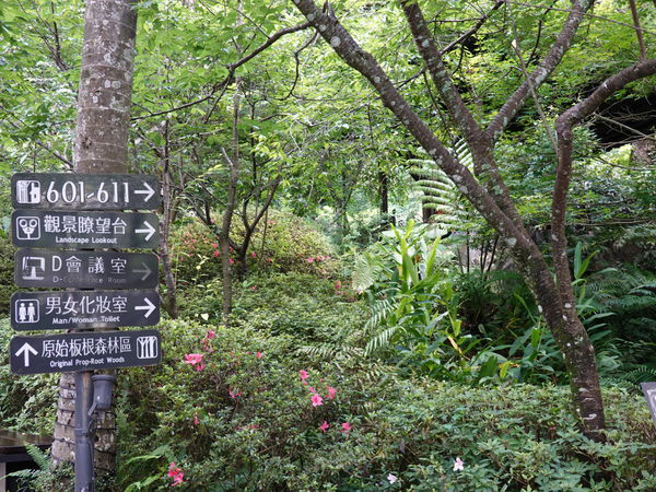 板根便利商店後方廁所 (3).JPG 板根便利商店後方廁所 (3).JPG