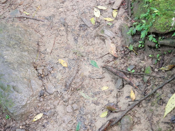 DSC00918.JPG DSC00918.JPG