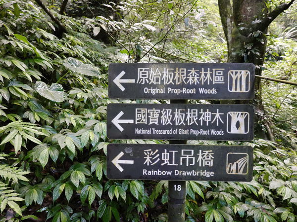 DSC00910.JPG DSC00910.JPG