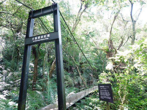 大板根彩虹橋 (2).jpg 大板根彩虹橋 (2).jpg