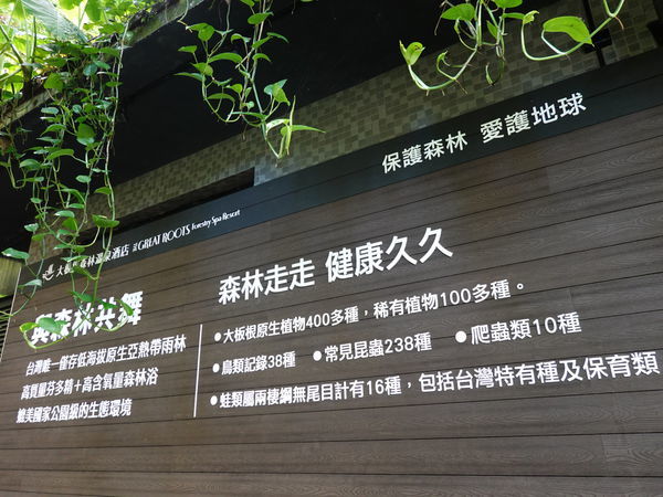 DSC00892.JPG DSC00892.JPG