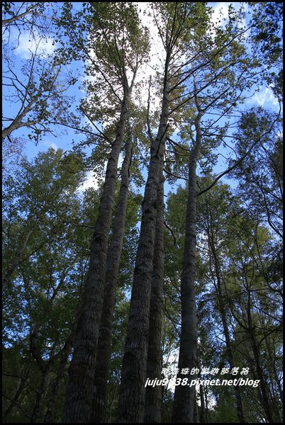 秀巒10.JPG 秀巒10.JPG