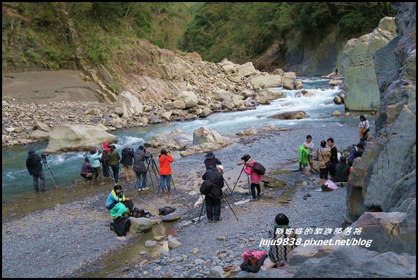 秀巒55.JPG 秀巒55.JPG