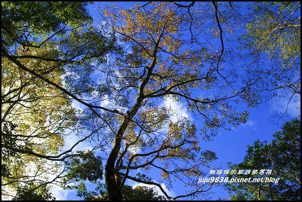 秀巒4.JPG 秀巒4.JPG