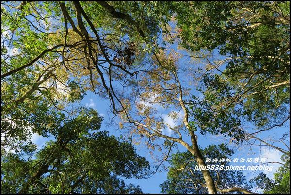 秀巒43.JPG 秀巒43.JPG