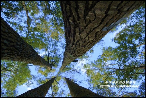 秀巒6.JPG 秀巒6.JPG