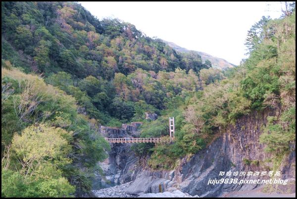 秀巒35.JPG 秀巒35.JPG