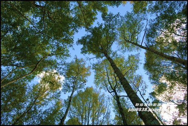 秀巒46.JPG 秀巒46.JPG