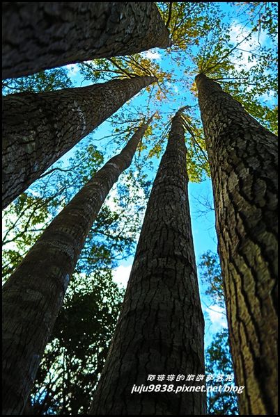 秀巒44.JPG 秀巒44.JPG