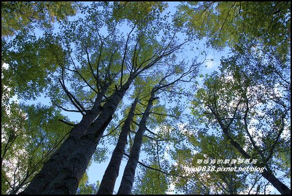 秀巒9.JPG 秀巒9.JPG