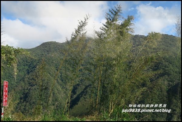 秀巒30.JPG 秀巒30.JPG