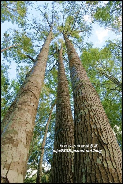 秀巒47.JPG 秀巒47.JPG