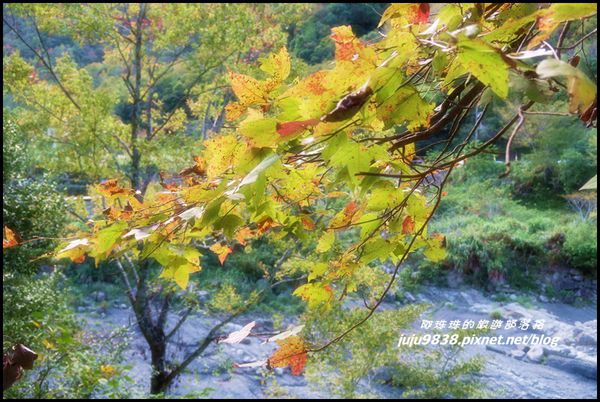 秀巒52.JPG 秀巒52.JPG