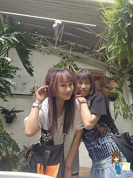 桃園咖啡廳推薦！桃園老宅福森院子迷你植物園必拍，藝文特區早午餐秘境。