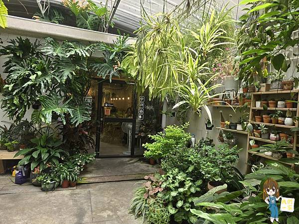 桃園咖啡廳推薦！桃園老宅福森院子迷你植物園必拍，藝文特區早午餐秘境。
