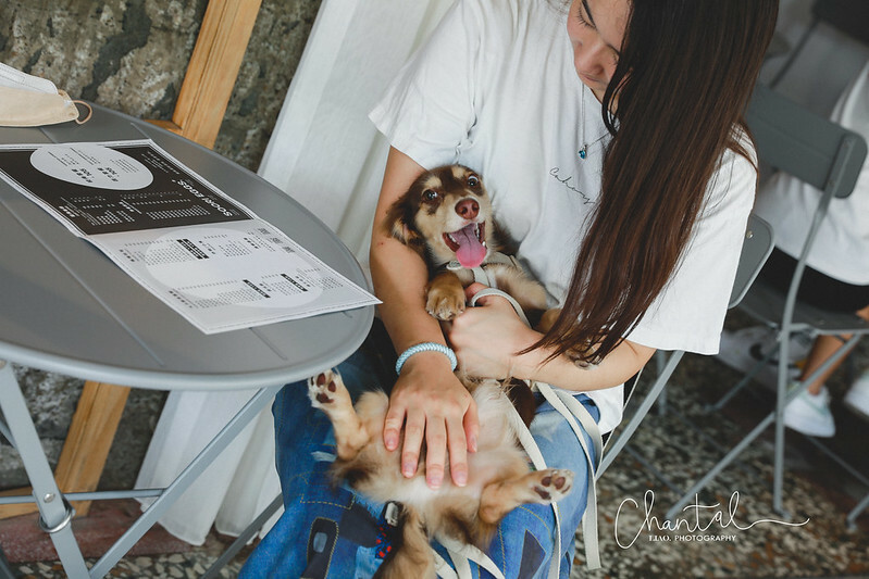 _J6A8739-2 拷貝 _J6A8739-2 拷貝