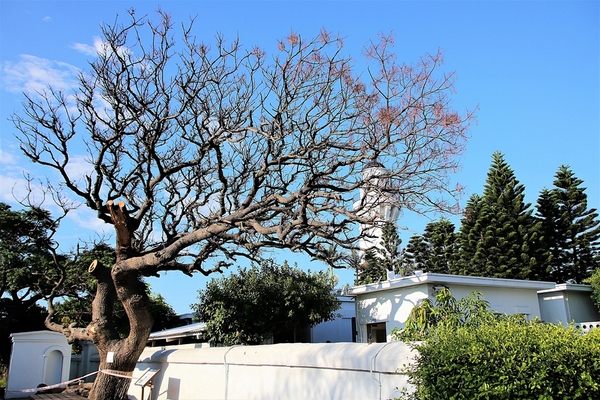 白沙岬燈塔:【桃園觀音景點】白沙岬燈塔~浪漫的唯美地中海公廁,白如雪的純淨燈塔,台灣本島最西美拍取景勝地