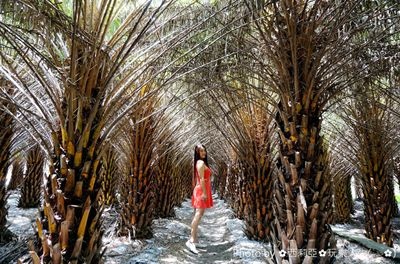 1499591791-1980359128_l.jpg 1499591791-1980359128_l.jpg