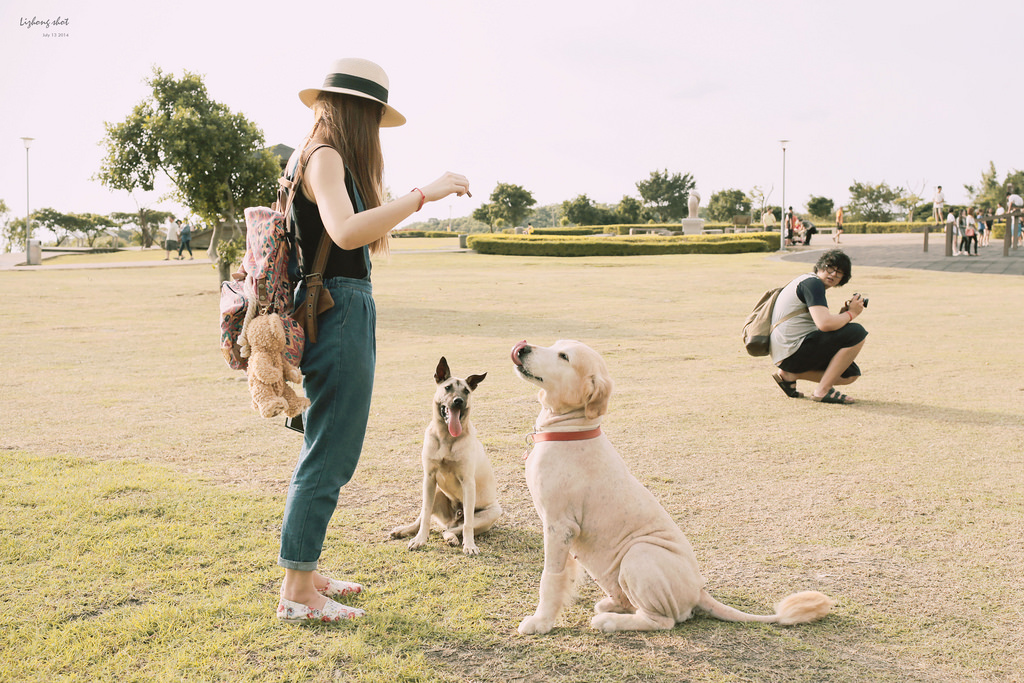 桃園的虎頭山大草原野放小狗日記 桃園的虎頭山大草原野放小狗日記