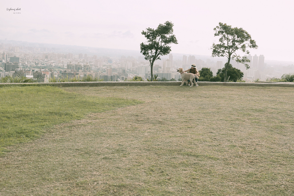 桃園的虎頭山大草原野放小狗日記 桃園的虎頭山大草原野放小狗日記