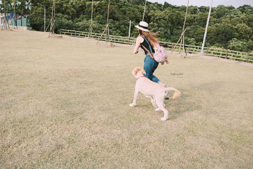桃園的虎頭山大草原野放小狗日記 桃園的虎頭山大草原野放小狗日記