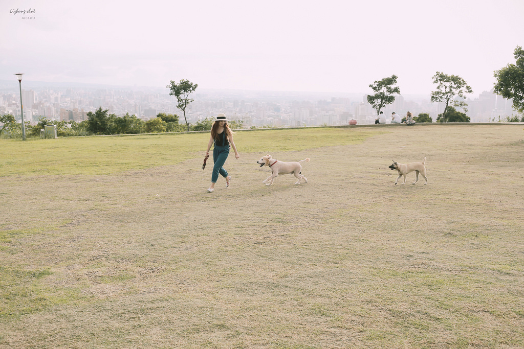 桃園的虎頭山大草原野放小狗日記 桃園的虎頭山大草原野放小狗日記