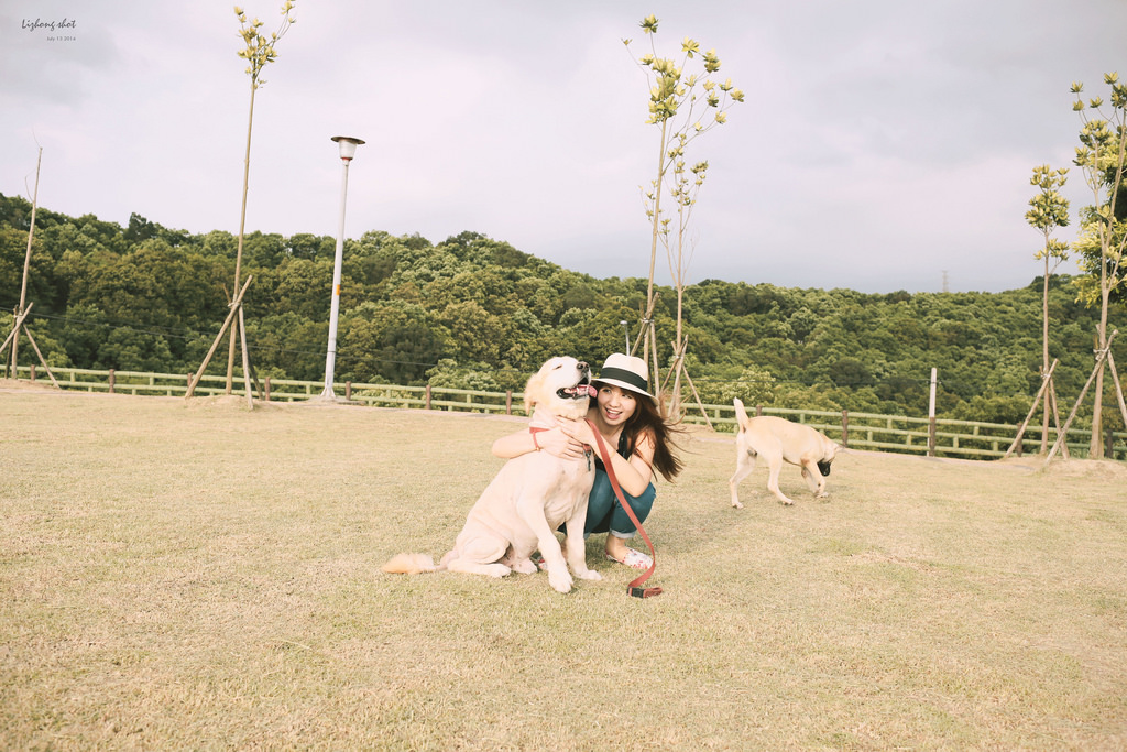 桃園的虎頭山大草原野放小狗日記 桃園的虎頭山大草原野放小狗日記
