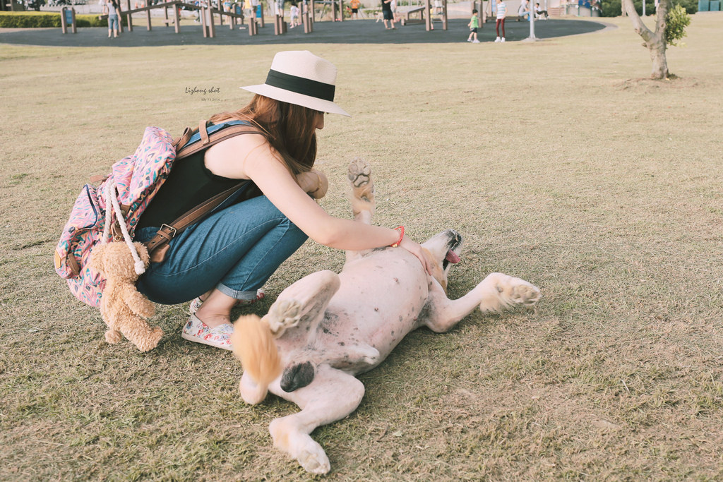 桃園的虎頭山大草原野放小狗日記 桃園的虎頭山大草原野放小狗日記