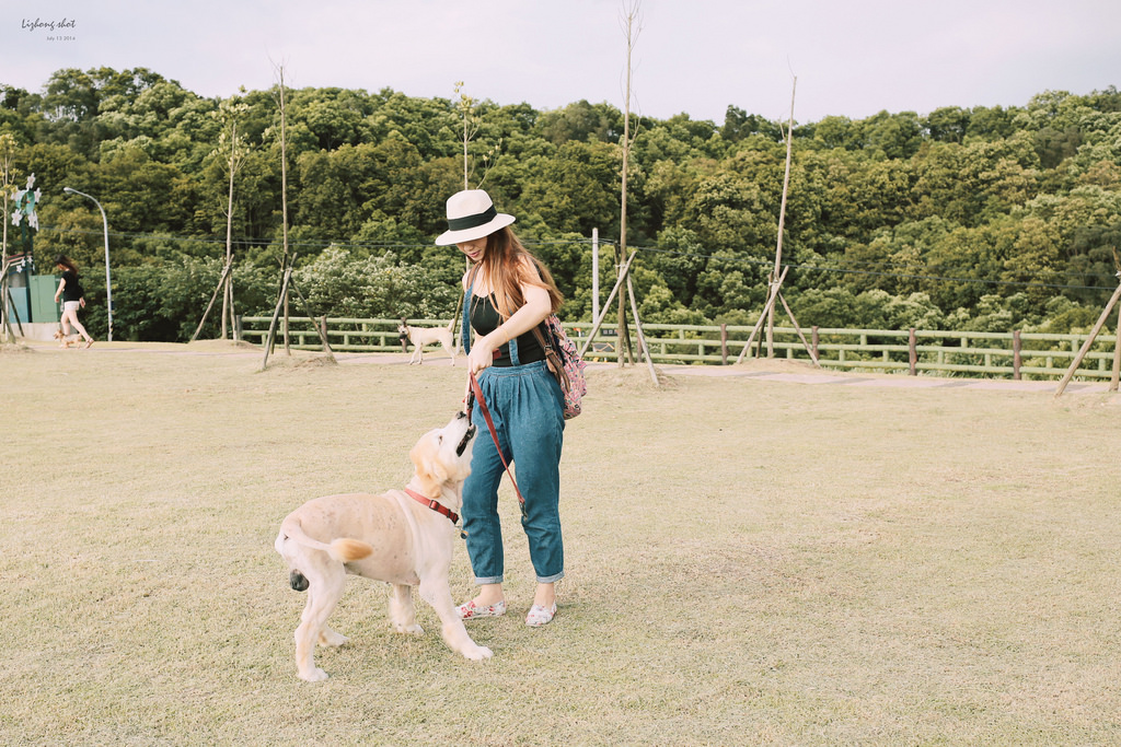 桃園的虎頭山大草原野放小狗日記 桃園的虎頭山大草原野放小狗日記