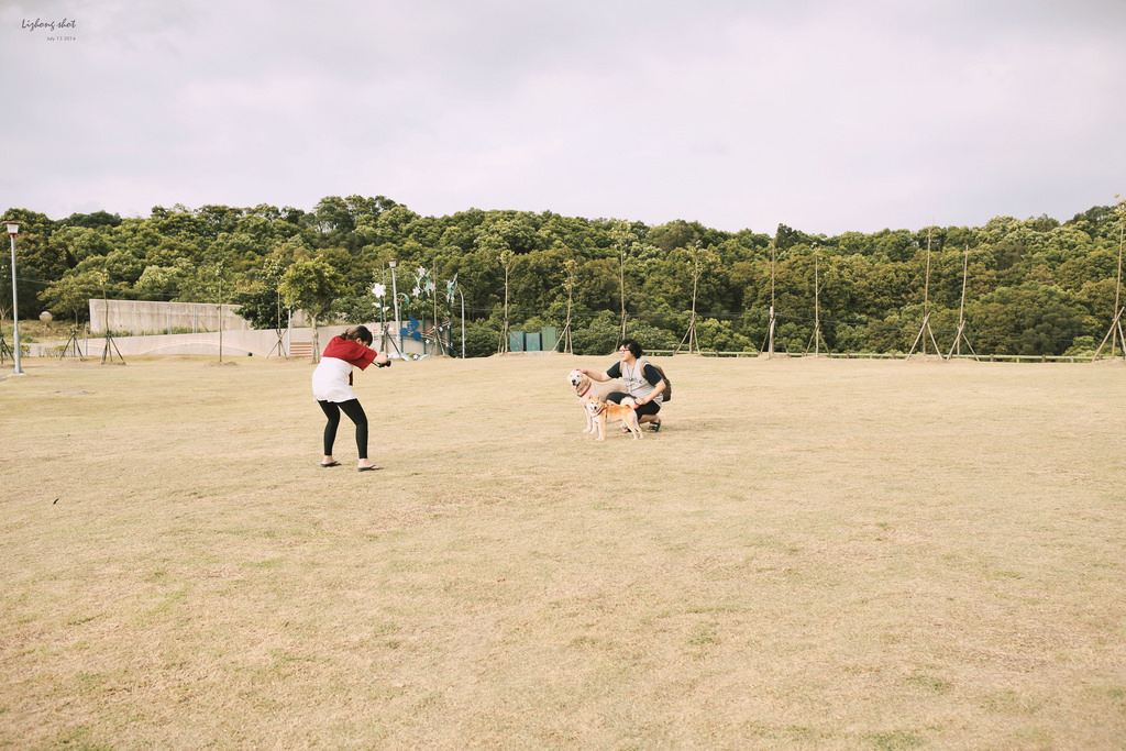 桃園的虎頭山大草原野放小狗日記 桃園的虎頭山大草原野放小狗日記