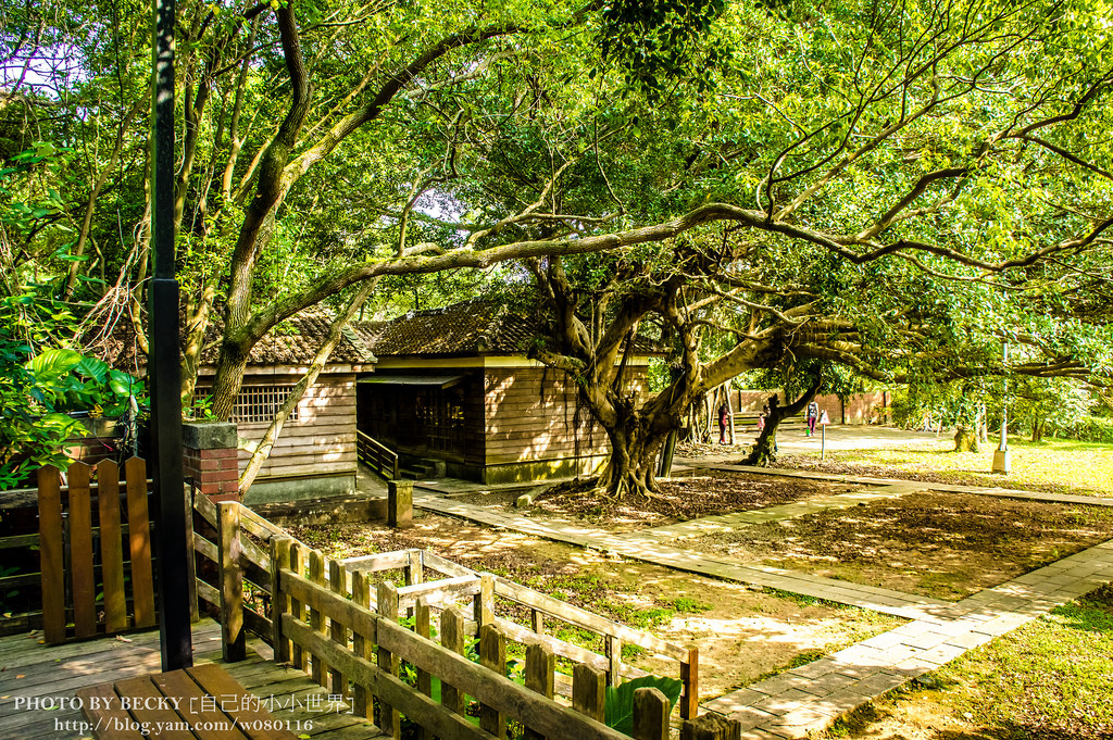 2014.桃園神社 とうえんじんじゃ