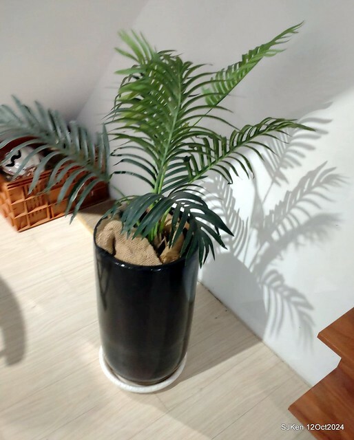 (新竹東區美食)「那家咖啡館」(There Coffee shop), Hsinchu, Oct 12, 2024, SJKen