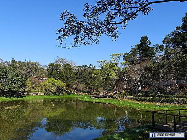 桃園賞梅景點【角板山行館】角板山公園樂活賞梅行程推薦/全新規畫六大區域