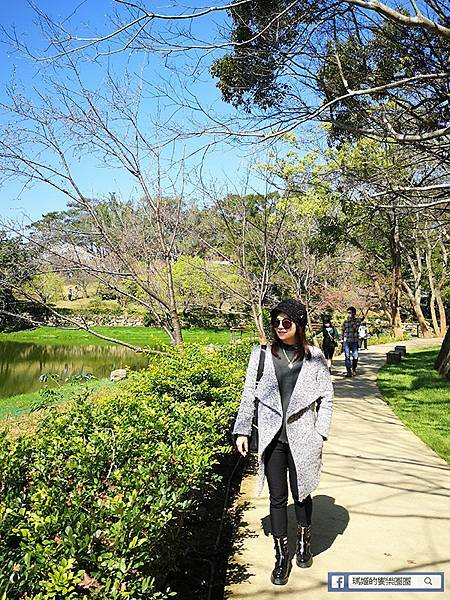 桃園賞梅景點【角板山行館】角板山公園樂活賞梅行程推薦/全新規畫六大區域