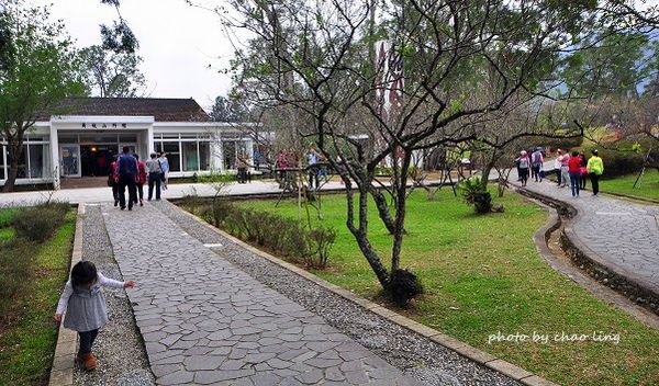 角板山梅花季-14.JPG 角板山梅花季-14.JPG