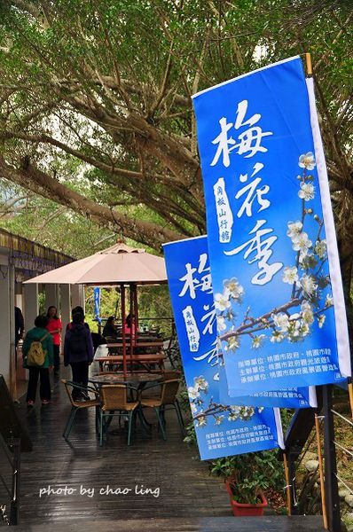 角板山梅花季-21.JPG 角板山梅花季-21.JPG