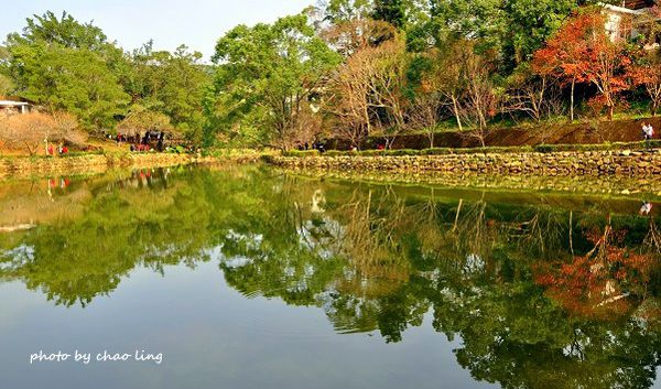 角板山梅花季-23.JPG 角板山梅花季-23.JPG