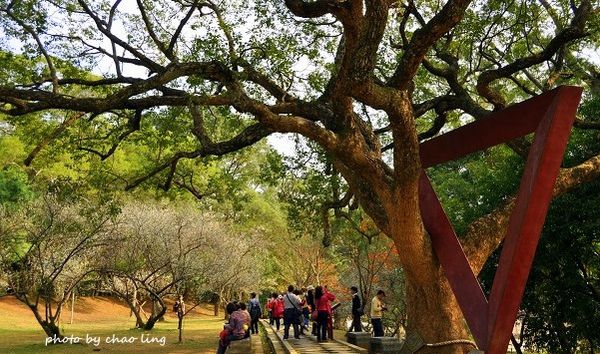 角板山梅花季-28.JPG 角板山梅花季-28.JPG