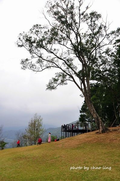 角板山梅花季-11.JPG 角板山梅花季-11.JPG