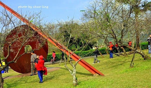 角板山梅花季-31.JPG 角板山梅花季-31.JPG