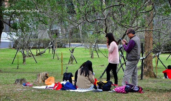 角板山梅花季-19.JPG 角板山梅花季-19.JPG