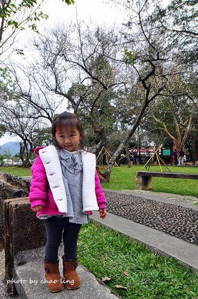 角板山梅花季-5.JPG 角板山梅花季-5.JPG