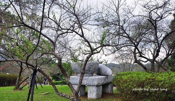 角板山梅花季-20.JPG 角板山梅花季-20.JPG