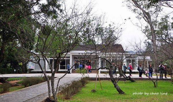 角板山梅花季-13.JPG 角板山梅花季-13.JPG