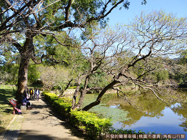 角板山04-生態池環池步道