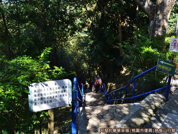 角板山33-行館旁有處往下的階梯