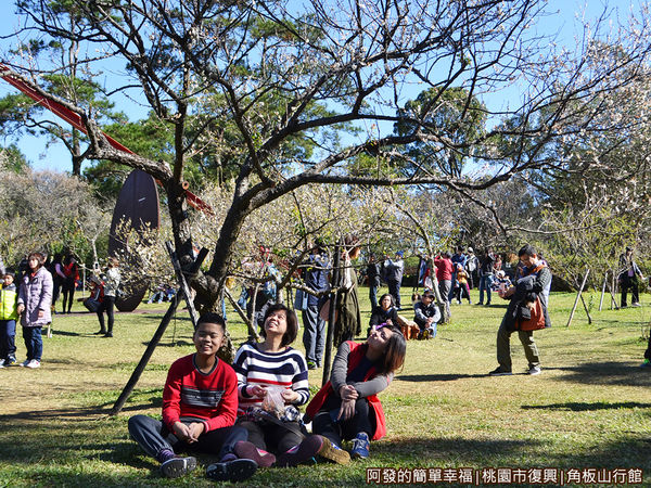 角板山23-梅花樹下