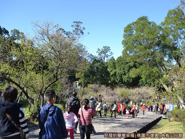 角板山06-行館主建築前的梅樹