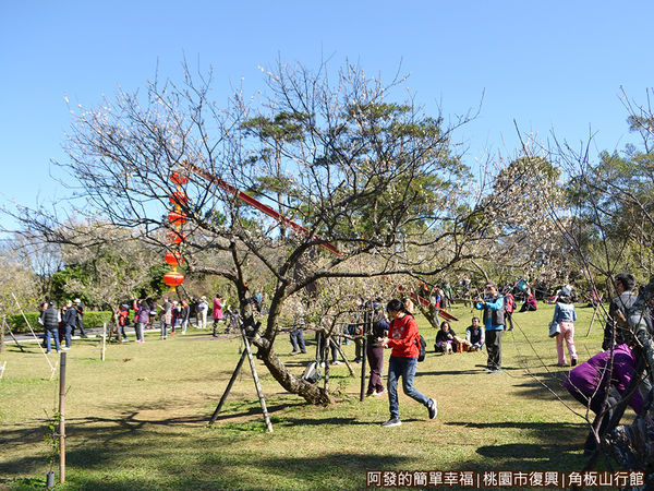 角板山20-梅林-野餐