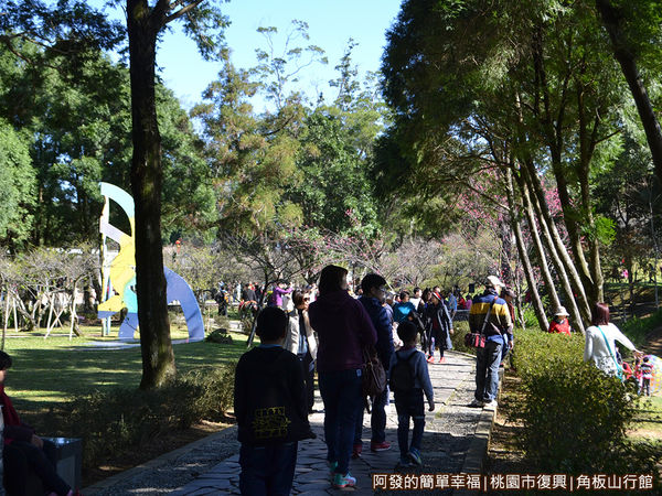 角板山10-思親亭前林蔭步道-櫻花初綻